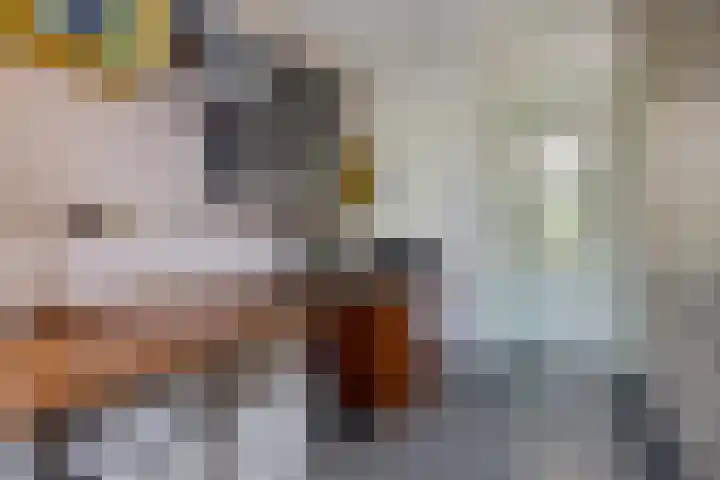 Johan de Wittlaan 363 Arnhem thumbnail 30