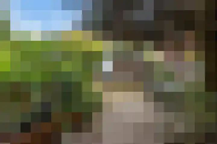 Johan de Wittlaan 363 Arnhem thumbnail 31