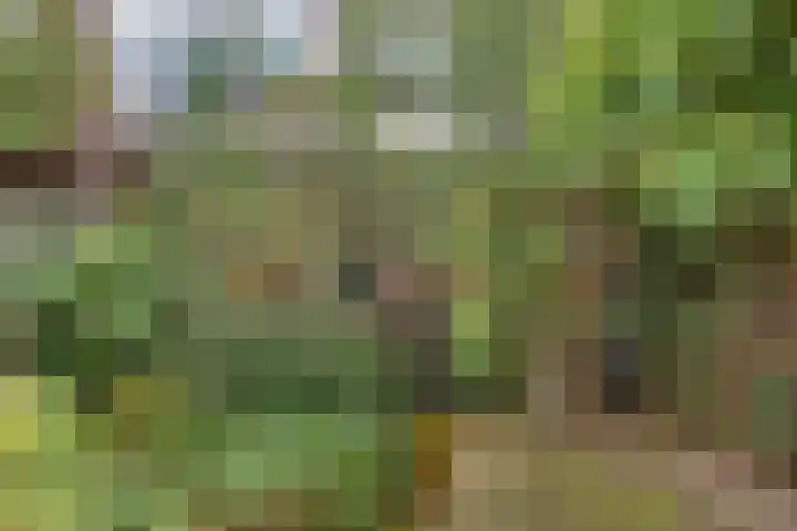 Johan de Wittlaan 363 Arnhem thumbnail 32
