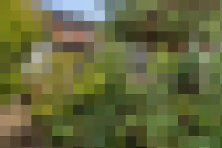 Johan de Wittlaan 363 Arnhem thumbnail 33
