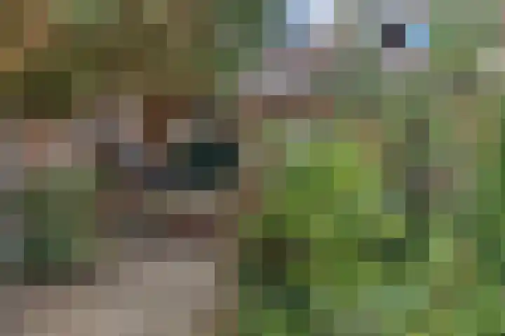 Johan de Wittlaan 363 Arnhem thumbnail 34