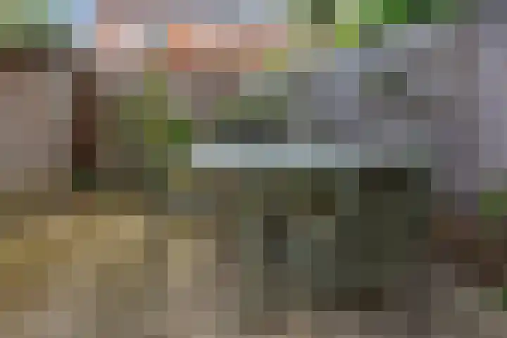 Johan de Wittlaan 363 Arnhem thumbnail 36