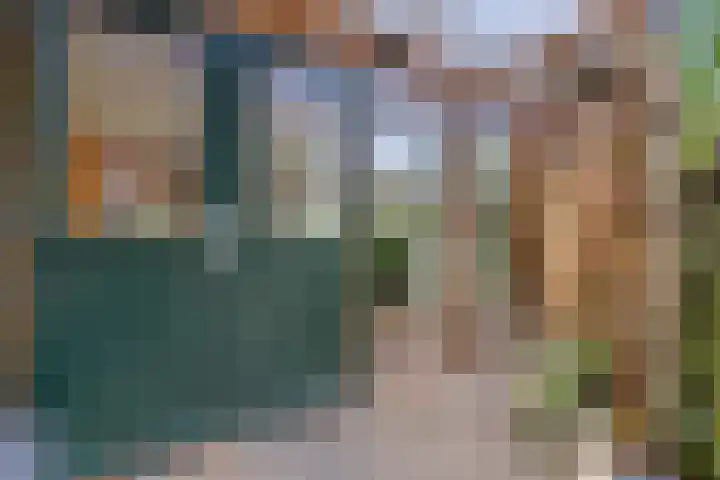 Johan de Wittlaan 363 Arnhem thumbnail 37