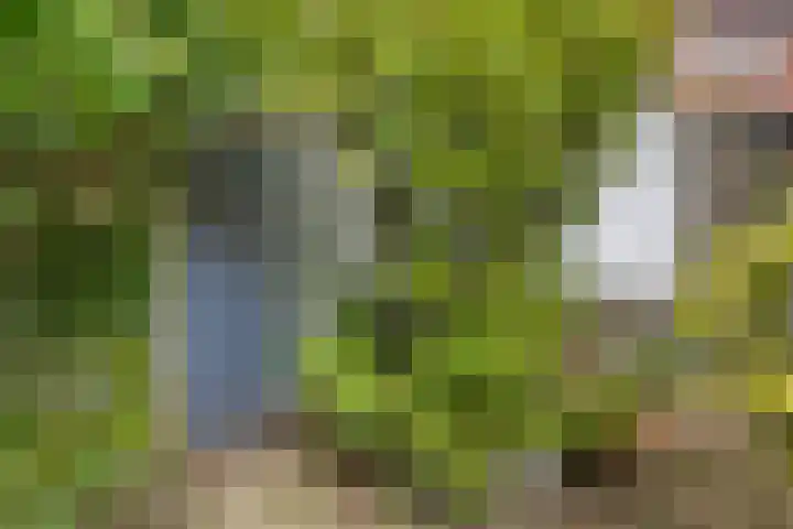 Johan de Wittlaan 363 Arnhem thumbnail 40