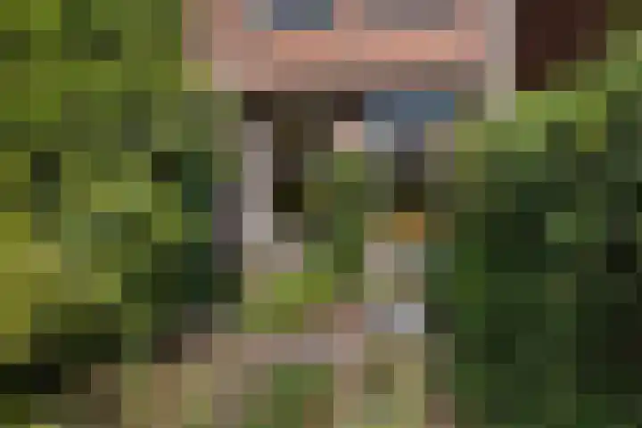 Johan de Wittlaan 363 Arnhem thumbnail 42