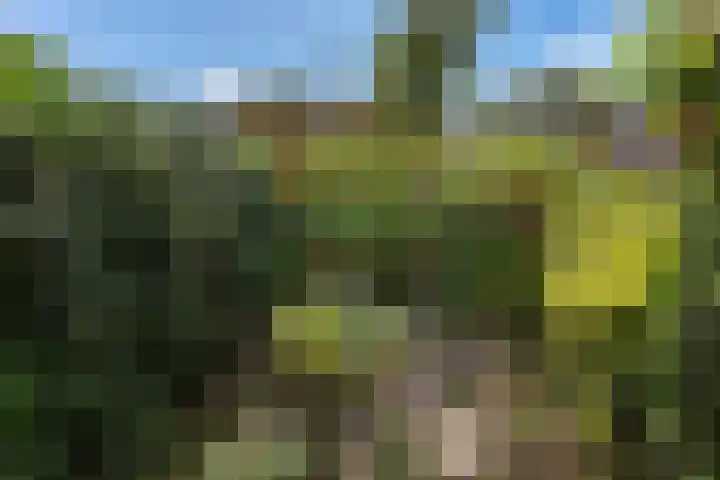 Johan de Wittlaan 363 Arnhem thumbnail 43