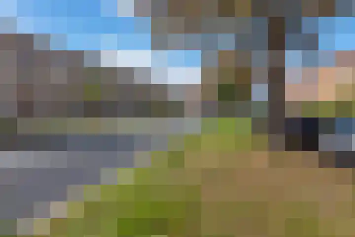 Johan de Wittlaan 363 Arnhem thumbnail 46