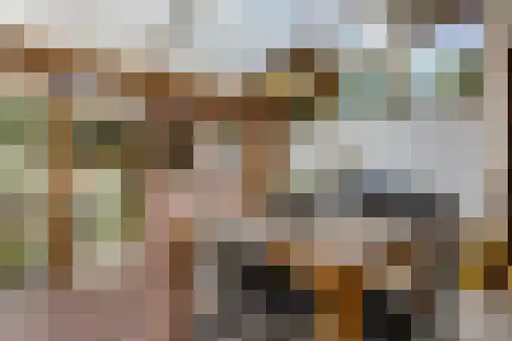 Johan de Wittlaan 363 Arnhem thumbnail 8