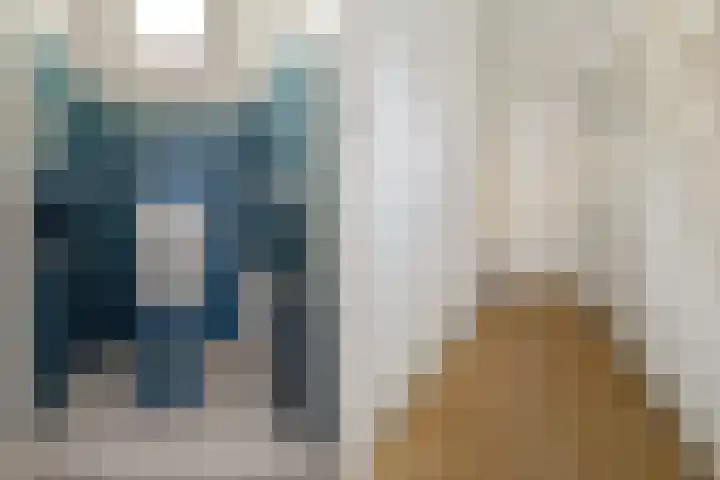 Johan de Wittlaan 4 Arnhem thumbnail 12