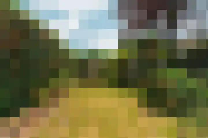 Johan de Wittlaan 4 Arnhem thumbnail 38