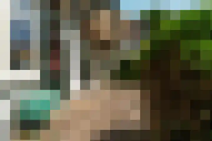 Johan de Wittlaan 4 Arnhem thumbnail 39