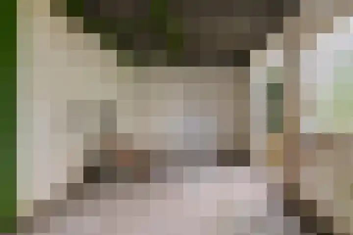 Johan de Wittlaan 4 Arnhem thumbnail 43