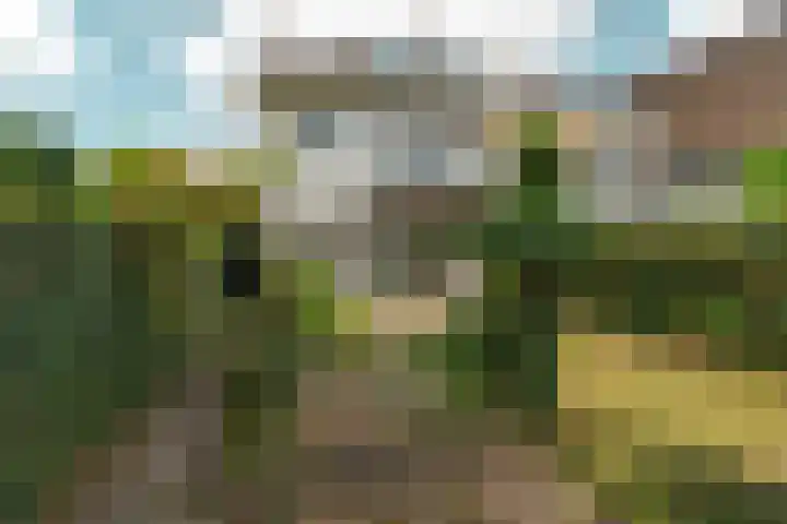 Johan de Wittlaan 4 Arnhem thumbnail 44