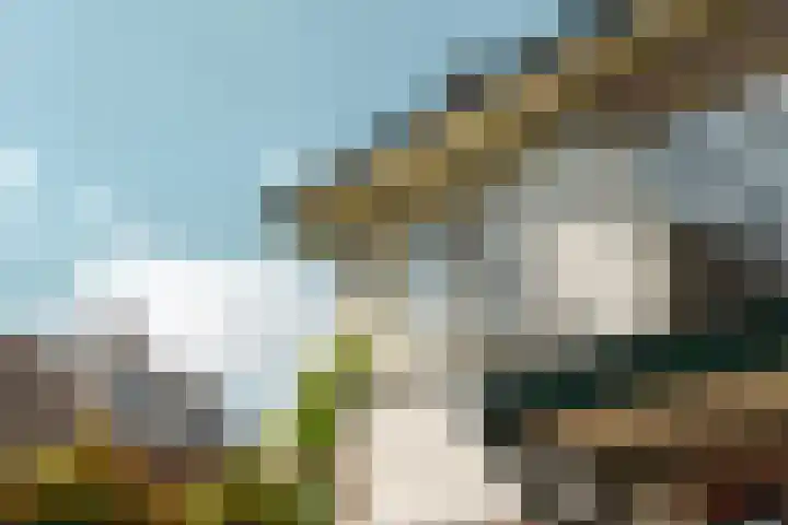 Johan de Wittlaan 4 Arnhem thumbnail 46