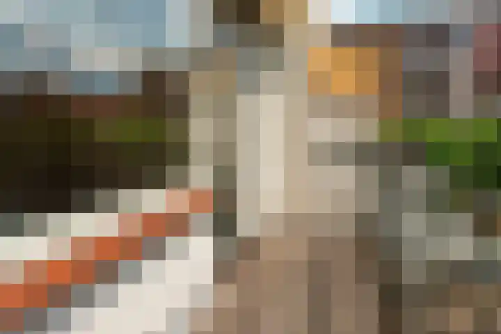 Johan de Wittlaan 4 Arnhem thumbnail 47