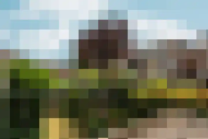 Johan de Wittlaan 4 Arnhem thumbnail 48