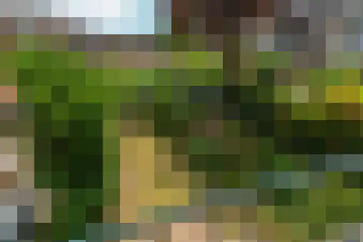 Johan de Wittlaan 4 Arnhem thumbnail 49