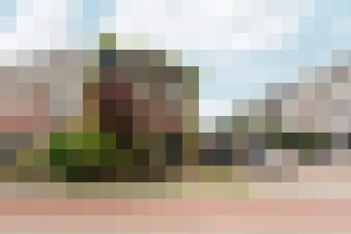 Johan de Wittlaan 4 Arnhem thumbnail 63