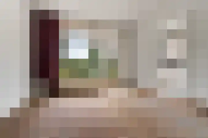 Johan de Wittlaan 4 Arnhem thumbnail 7