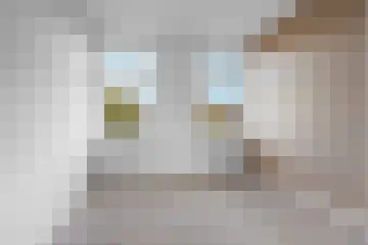 Johan de Wittlaan 80 Arnhem thumbnail 15