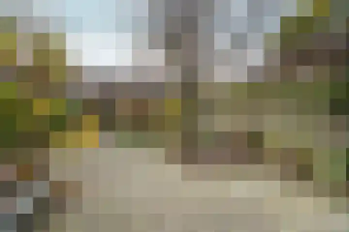 Johan de Wittlaan 80 Arnhem thumbnail 22