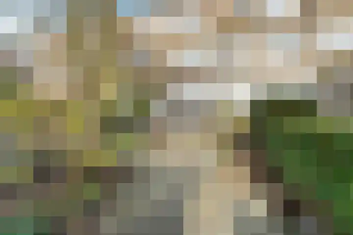 Johan de Wittlaan 80 Arnhem thumbnail 24