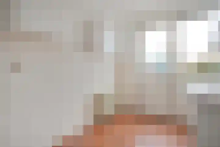 Johan de Wittstraat 6 Olst thumbnail 12