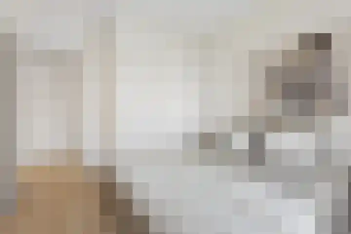 Johan de Wittstraat 6 Olst thumbnail 14