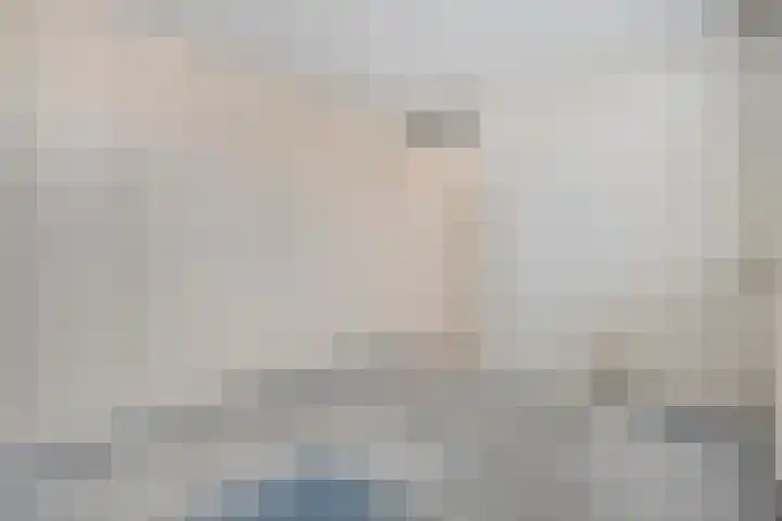 Johan de Wittstraat 6 Olst thumbnail 16