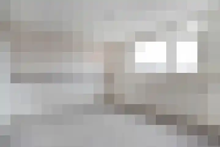 Johan de Wittstraat 6 Olst thumbnail 18
