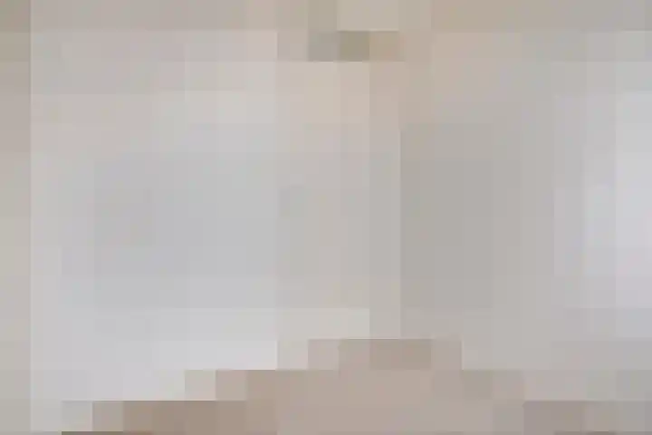 Johan de Wittstraat 6 Olst thumbnail 21