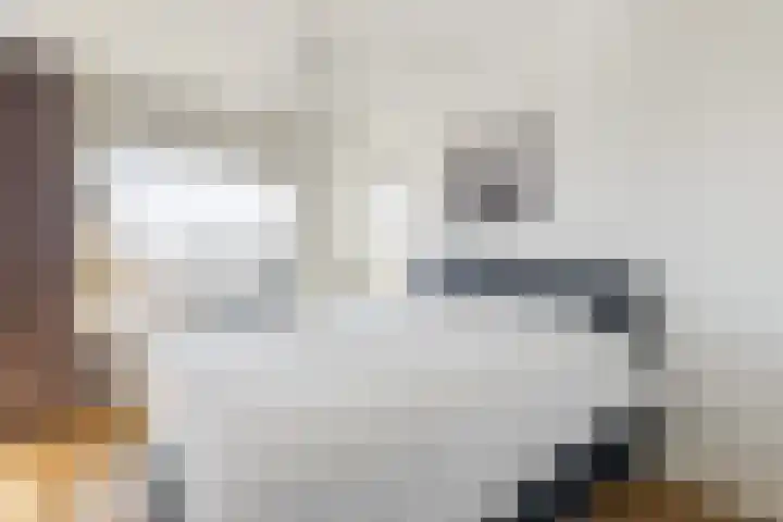 Johan de Wittstraat 6 Olst thumbnail 26