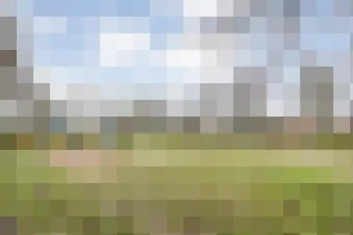 Johan de Wittstraat 6 Olst thumbnail 31