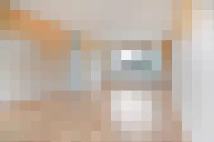 Johan de Wittstraat 6 Olst thumbnail 8