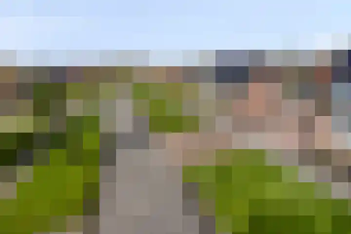 Johan Horalaan 19 Midwolda thumbnail 10