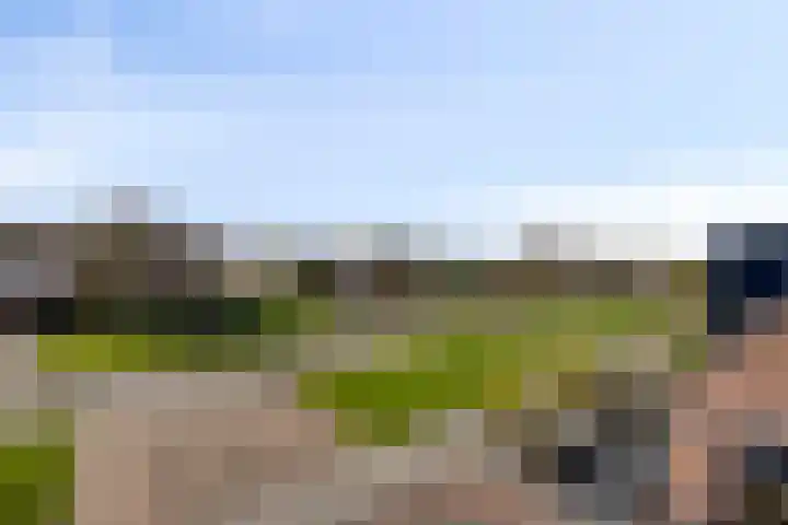 Johan Horalaan 19 Midwolda thumbnail 11