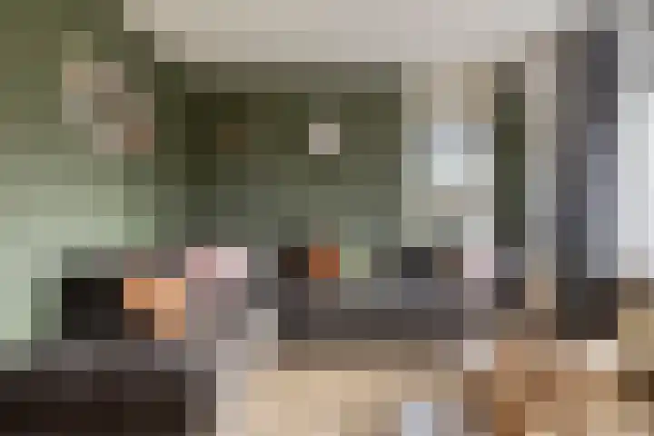 Johan Horalaan 19 Midwolda thumbnail 19