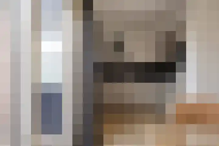 Johan Horalaan 19 Midwolda thumbnail 24