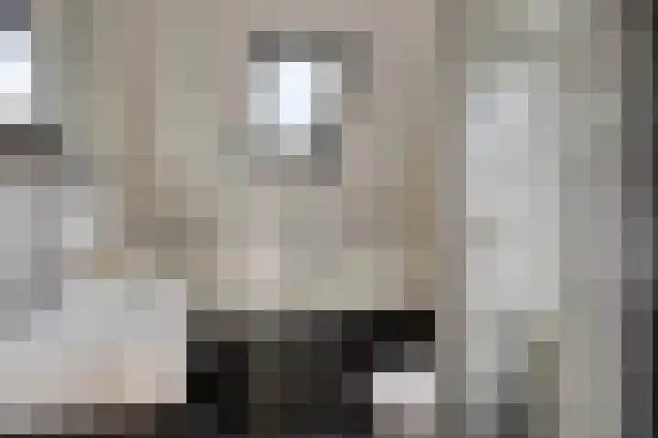 Johan Horalaan 19 Midwolda thumbnail 4