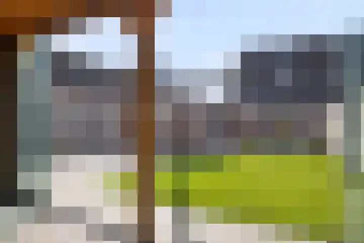 Johan Horalaan 19 Midwolda thumbnail 56