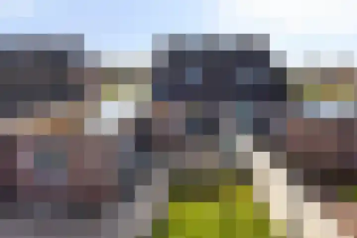 Johan Horalaan 19 Midwolda thumbnail 59