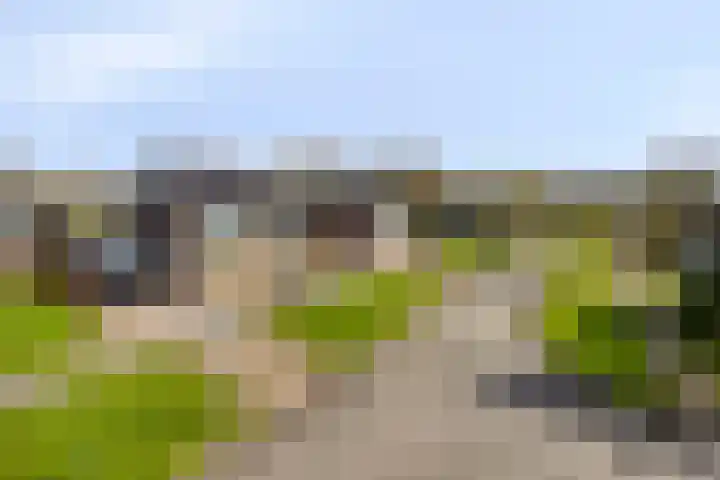Johan Horalaan 19 Midwolda thumbnail 8