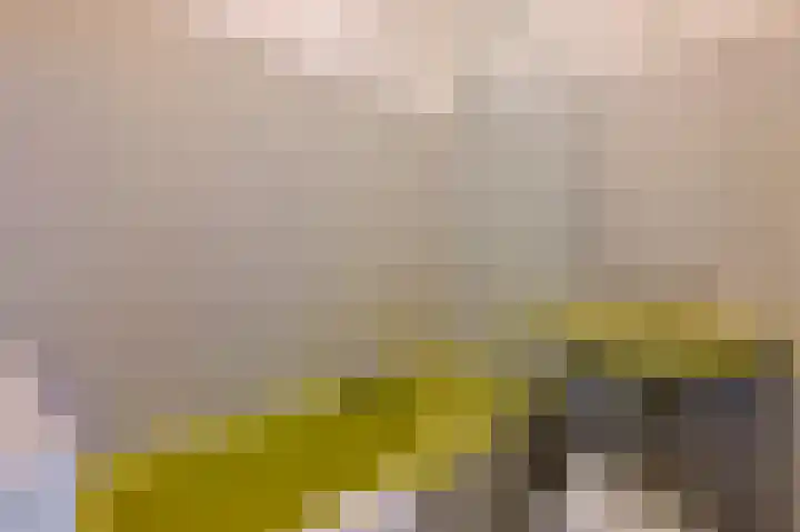 Johan Huizingalaan 296 2 Amsterdam thumbnail 18