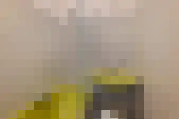 Johan Huizingalaan 296 2 Amsterdam thumbnail 19