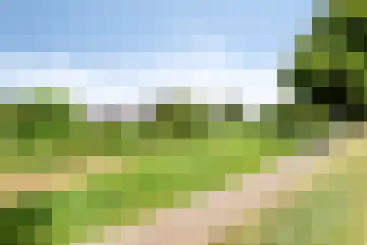 Johan Kleinendreef 2 Sittard thumbnail 101