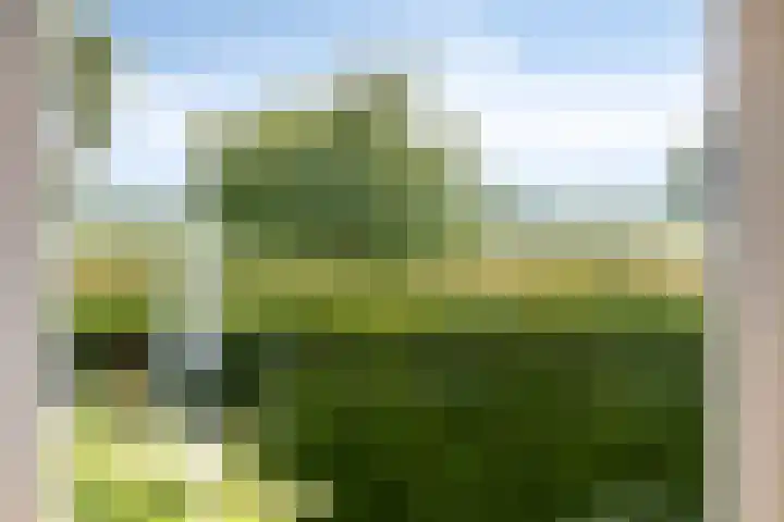 Johan Kleinendreef 2 Sittard thumbnail 27