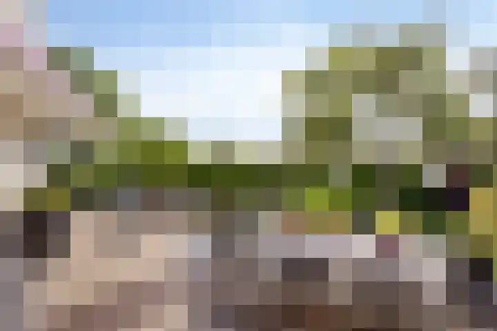 Johan Kleinendreef 2 Sittard thumbnail 6