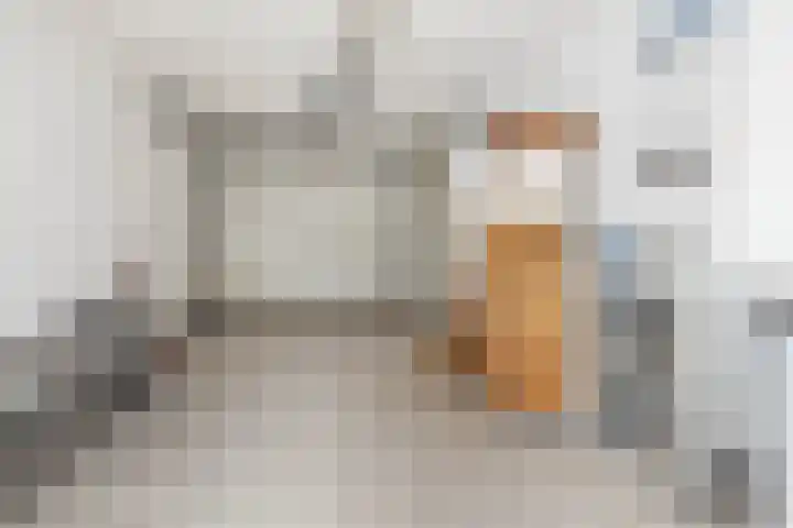 Johan Ruytersdreef 20 Sittard thumbnail 16