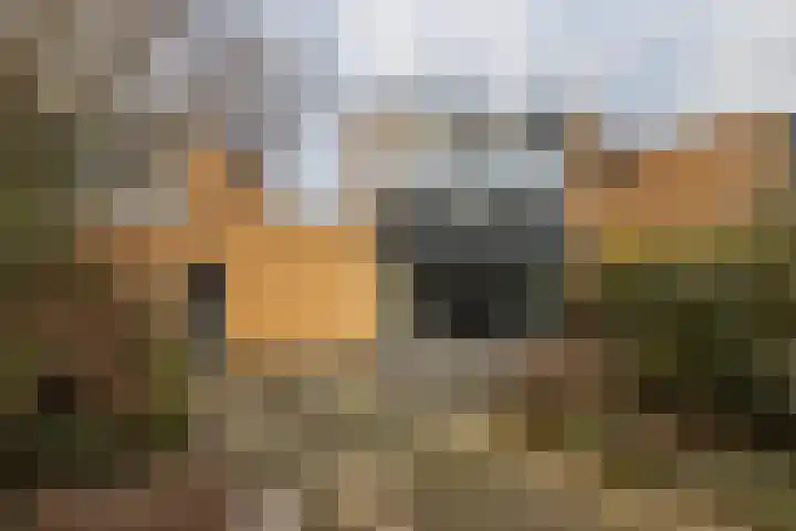 Johan Ruytersdreef 20 Sittard thumbnail 30