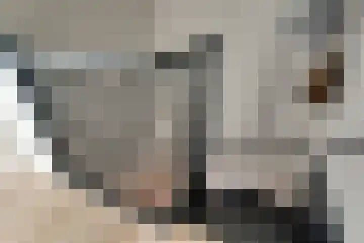 Johan van Gheelborg 18 Spanbroek thumbnail 24